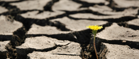 Adviser Weekly Newsletter 3 February 2021 Adviser Weekly Newsletter 3 February 2021